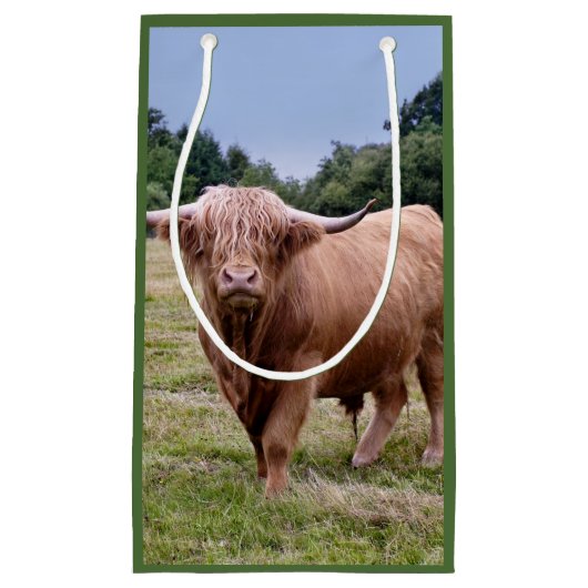Highland Cow Gift Bag Klein Cadeauzakje (Voorkant)
