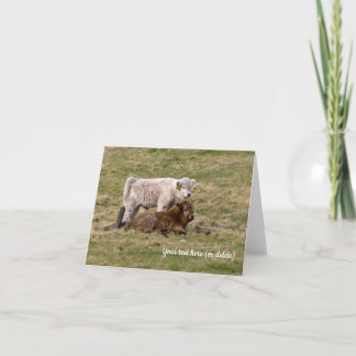 Highland Cow Greeting card Kaart