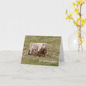 Highland Cow Greeting card Kaart (Gele Bloem)