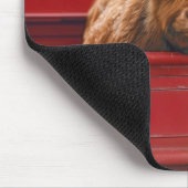 Highland Cow In a Red Retro Pickup Truck Muismat (Hoek)