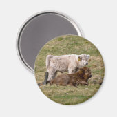 Highland Cow Magnet (Voorkant / Achterkant)