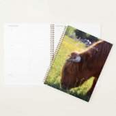 Highland Cow Planner - Spring Theme (Display)