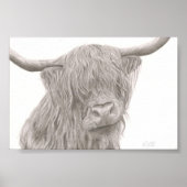 Highland Cow Poster (Voorkant)