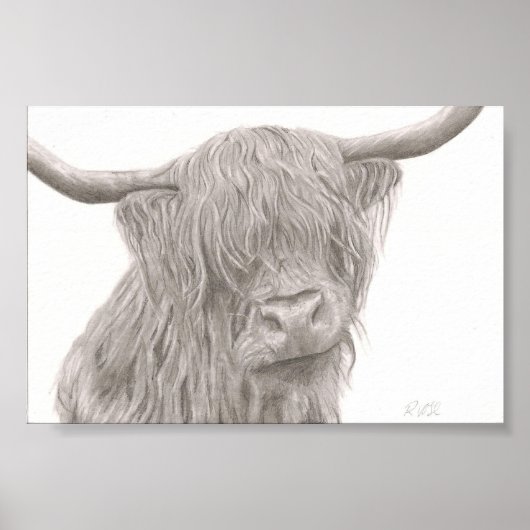 Highland Cow Poster (Voorkant)