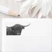 Highland Cow Return Address Labels (Insitu)