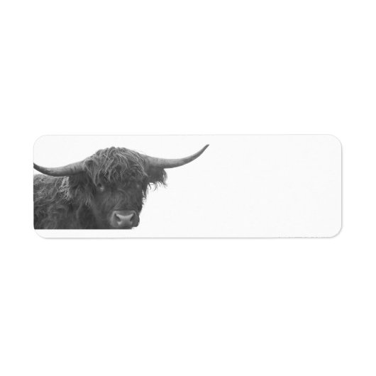 Highland Cow Return Address Labels (Voorkant)