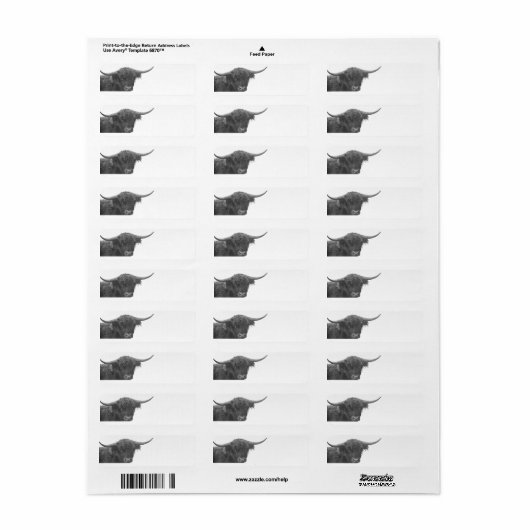 Highland Cow Return Address Labels (Full Sheet)