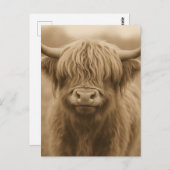 Highland Cow Sepia Portrait Briefkaart (Voorkant / Achterkant)