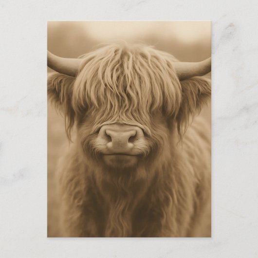 Highland Cow Sepia Portrait Briefkaart (Voorkant)