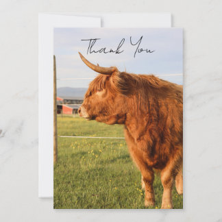 Highland Cow Thank You Card Bedankkaart