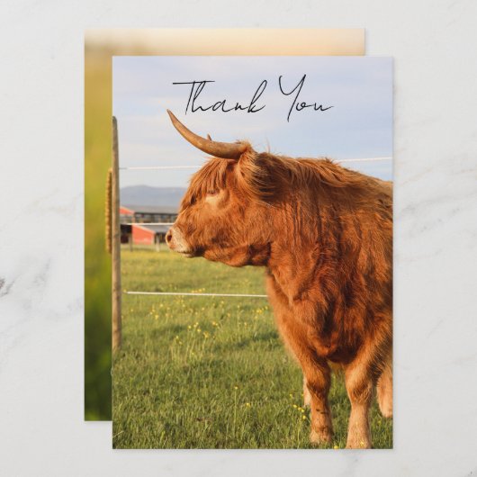 Highland Cow Thank You Card Bedankkaart (Voorkant / Achterkant)