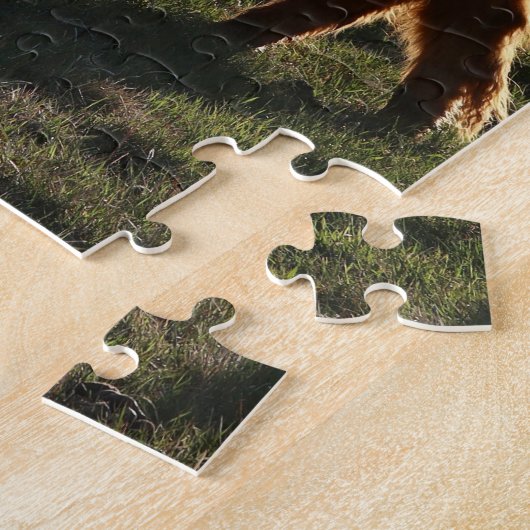 Highland Cows in Montana Puzzle Legpuzzel (Zijkant)