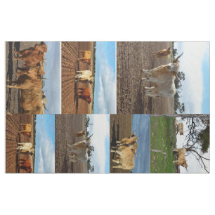 Highland Cows Photo Collage Stof