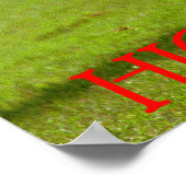 highland games poster (Hoek)