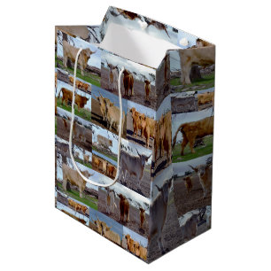 Highland Glory: een fotocollage van majestueuze Ko Medium Cadeauzakje