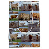 Highland Glory: een fotocollage van majestueuze Ko Medium Cadeauzakje (Achterkant)