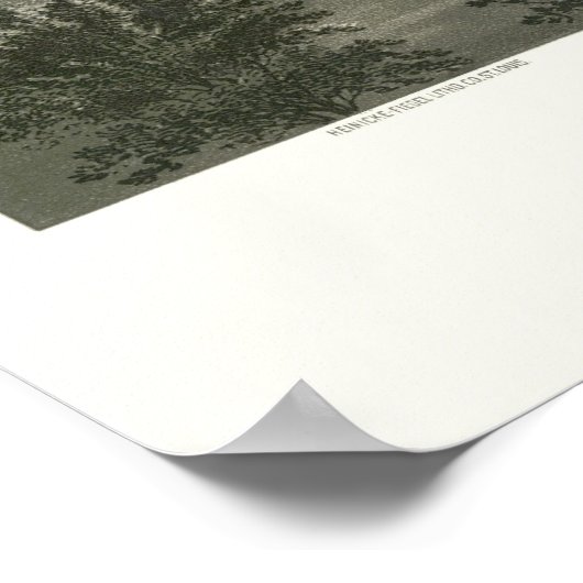 Highland, IL Panoramic Map - 1894 Poster (Hoek)