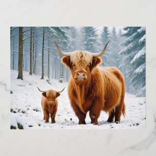 Highland Koe Animal Natuur Wildlife Affection Lief Folie Feestdagen Briefkaart