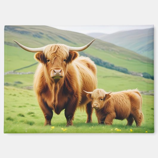 Highland Koe Animal Natuur Wildlife Affection Lief Magneet (Voorkant)