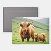 Highland Koe Animal Natuur Wildlife Affection Lief Magneet (Voorkant / Achterkant)