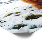 Highland Koe Animal Natuur Wildlife Affection Lief Poster (Hoek)