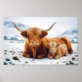 Highland Koe Animal Natuur Wildlife Affection Lief Poster (Voorkant)
