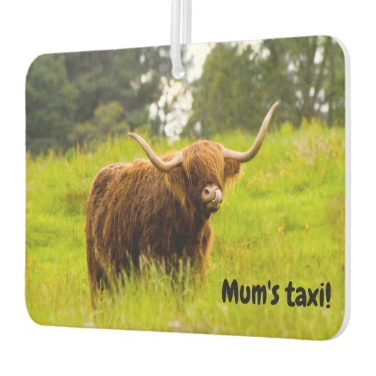 Highland Koe Auto luchtverfrisser (Links)