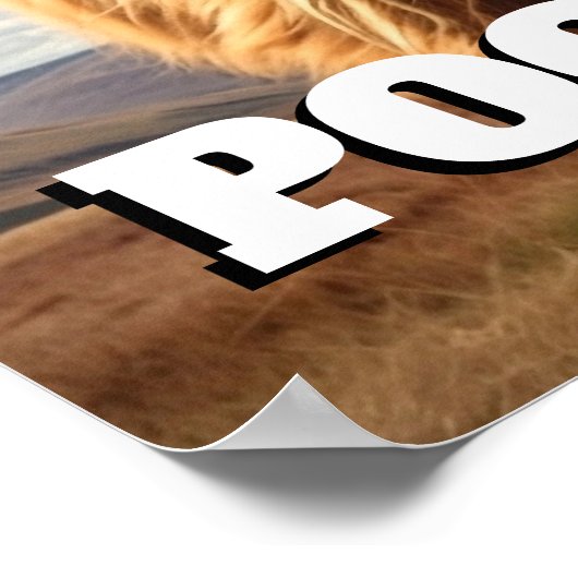 Highland Koe Bent u Pooping Funny Toilet Badkamer Poster (Hoek)