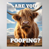 Highland Koe Bent u Pooping Funny Toilet Badkamer Poster (Voorkant)