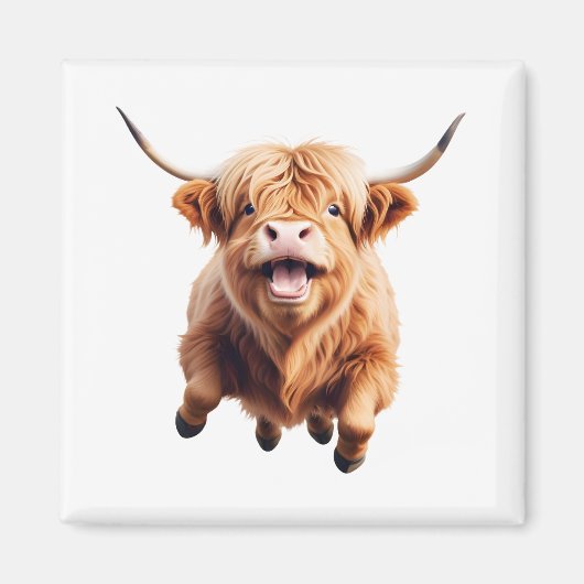 Highland Koe blij speels plezier springen in de lu Magneet (Voorkant)