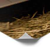 Highland koe boerderij thema zwangerschapsaankondi poster (Hoek)