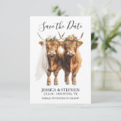 Highland Koe bruiloft Waterverf Save The Date (Staand voorkant)