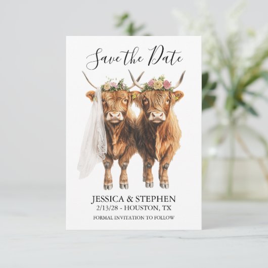 Highland Koe bruiloft Waterverf Save The Date (Staand voorkant)