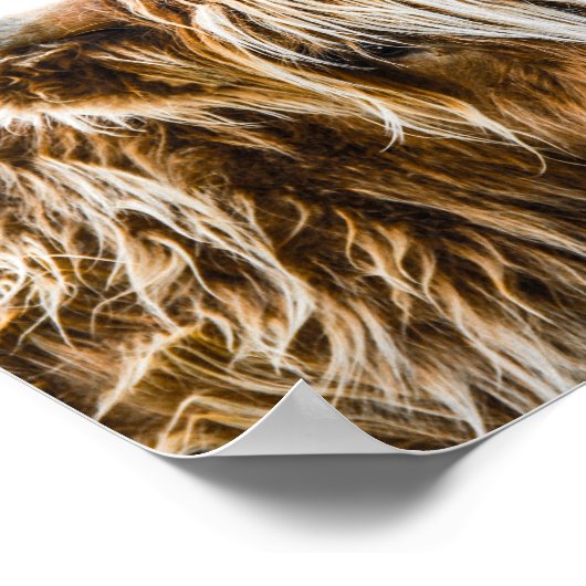 Highland Koe Coo Poster (Hoek)