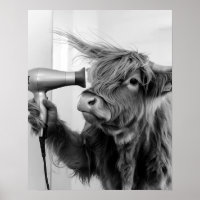 Highland Koe doet haarstyling en maakt zich klaar