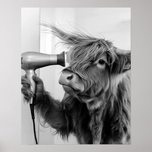 Highland Koe doet haarstyling en maakt zich klaar Poster (Voorkant)