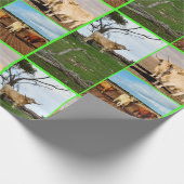 Highland Koe drie Afbeelding collage, Cadeaupapier (Hoek)