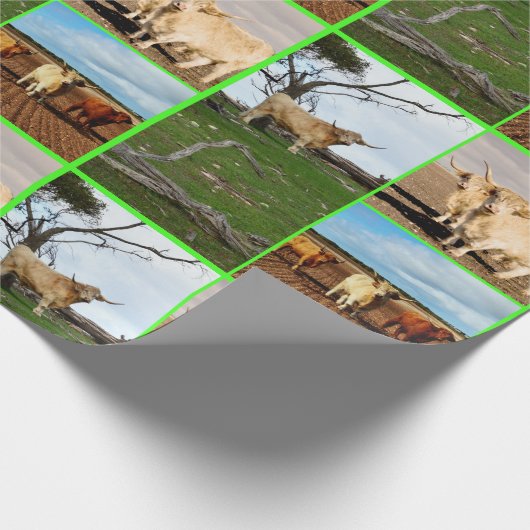 Highland Koe drie Afbeelding collage, Cadeaupapier (Hoek)