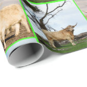 Highland Koe drie Afbeelding collage, Cadeaupapier (Rol Hoek)