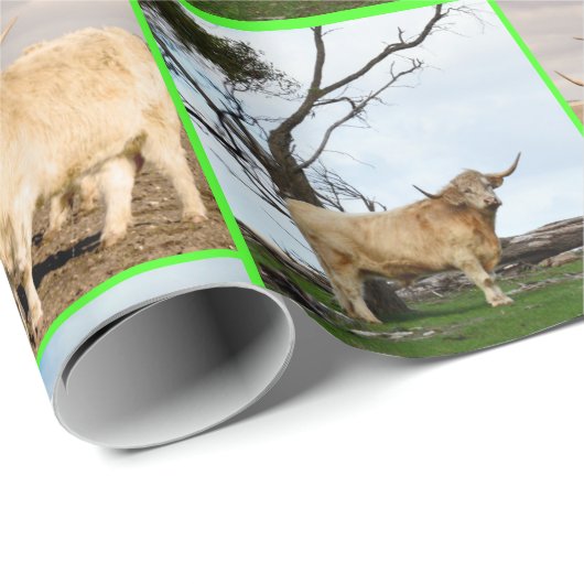 Highland Koe drie Afbeelding collage, Cadeaupapier (Rol Hoek)