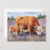 Highland Koe en Calf Paarse Wildflowers Briefkaart (Voorkant / Achterkant)