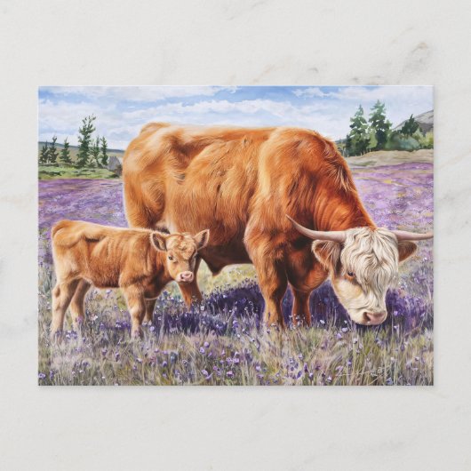 Highland Koe en Calf Paarse Wildflowers Briefkaart (Voorkant)