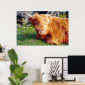 Highland Koe Foto Poster (Thuiskantoor)
