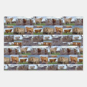 Highland Koe fotocollage, cadeaupapier, Inpakpapier Vel (Voorkant 2)