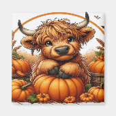 Highland Koe genesteld tussen herfstoogst pompoene Magneet (Voorkant)