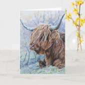 Highland koe, ijzige morgen kaart (Gele Bloem)