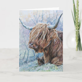 Highland koe, ijzige morgen kaart
