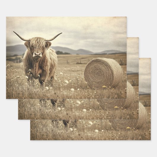 Highland Koe in een Hay Field Decoupage Inpakpapier Vel (Set)
