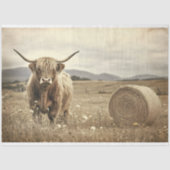 Highland Koe in een Hay Field Decoupage Tissuepapier (Voorkant)
