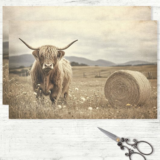 Highland Koe in een Hay Field Decoupage Tissuepapier